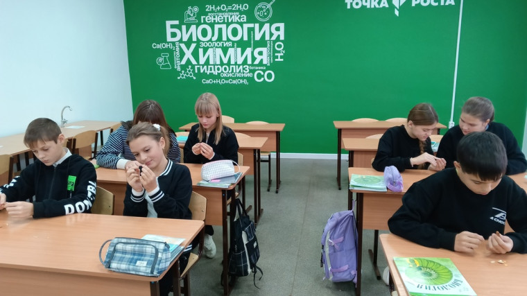Эксперименты.